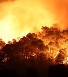 फ्रांस के जंगलों में आग ने मचाया तांडव 11