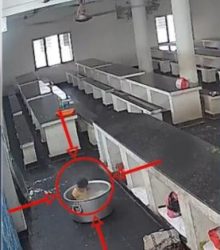 आंध्र प्रदेश में उबलते दूध के बर्तन में गिरने से जलकर बच्ची की मौत 17