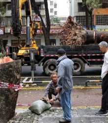 चीन में तूफान Ragasa ने मचाई तबाही 44