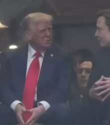 ट्रंप और मस्क की फिर हो गई दोस्ती! 65