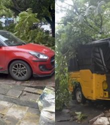 1 की मौत, कई घायल! ‘मोंथा’ की मार से कांपा आंध्र प्रदेश 7