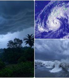 बारिश से हाहाकार! कई जिलों में स्कूल बंद, प्रशासन ने जारी की चेतावनी 9