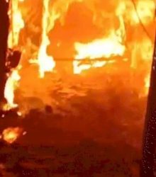 भोपाल के शॉपिंग मॉल में लगी भीषण आग 33