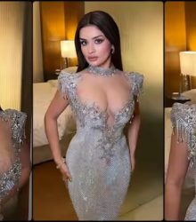 ट्रांसपेरेंट ड्रेस में एक्ट्रेस ने दिखाया कर्वी फिगर 35