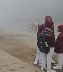 बिहार में छुट्टियों का ऐलान: कक्षा 8वीं तक सभी स्कूल बंद, DM का आदेश जारी 21