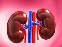 किडनी डैमेज का अलर्ट: आंखों में दिखें ये बदलाव, तुरंत करें डॉक्टर से संपर्क 24